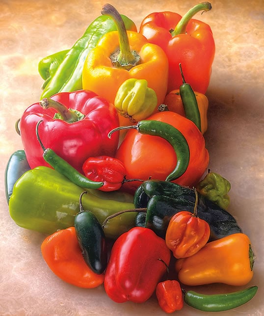 Today, most fresh chiles distributed by global supermarket grocers are varieties of Capsicum annuum.