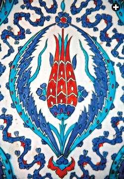 A stylized tulip adorns a tile in Istanbul’s Rüstem Pasha mosque, completed in 1563. With many species originating in Central Asia, the tulip became one of Ottoman Turkey’s most popular flowers and artistic motifs.