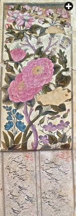 ペルシャの詩をおさめたこの画集は18世紀初頭のもので、このフォリオにはダマスクローズが果物の花やスミレ、シラーとともに描かれている。