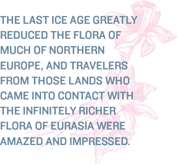 THE LAST ICE AGE GREATLY REDUCED THE FLORA OF MUCH OF NORTHERN EUROPE, AND TRAVELERS FROM THOSE LANDS WHO CAME INTO CONTACT WITH THE INFINITELY RICHER FLORA OF EURASIA WERE AMAZED AND IMPRESSED.