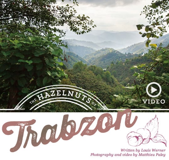 The Hazelnuts of Trabzon // Written by Louis Werner, Photography and video by Matthieu Paley