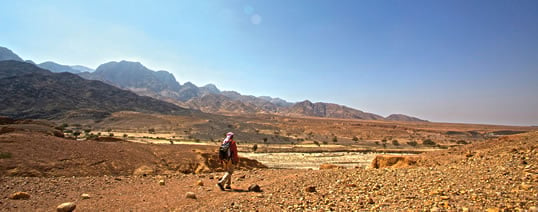 For nearly a million years until relatively recent times, Wadi Faynan and environs were attractive places for making a living and trading. With several Neolithic sites, its importance as a commercial thoroughfare is shown by finds of seashells from the Mediterranean and the Red seas as well as bitumen, used to cover baskets, from the Dead Sea to the north.