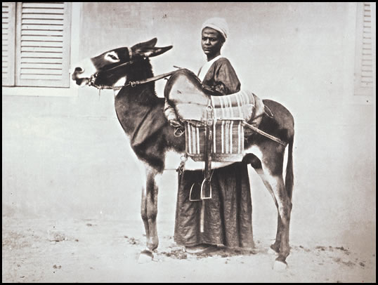 In the 1920s and ‘30s, Gaddis became a master of the popular “genre portrait,” a style that reflected everyday life and showed people as “types” without identifying individuals, including the water carriers, above, and the young Nubian man with a mule, below. Both images subtly capture an ease on the part of the subjects before the camera that is often absent in comparable images by non-Egyptian photographers. 