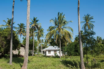 A house in Mlingotini. According to the Bagamoyo Department of City Planning’s Notice Board, up to 321 residents from four villages have already been paid undisclosed relocation fees. 