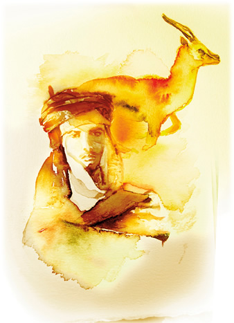 Gazelle illustration