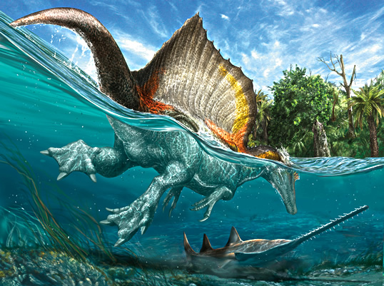 A swimmer the size of a school bus armed with teeth and claws,  Spinosaurus could weigh six to seven tons. Equally at home on land or in water, it was a predator without equal. 