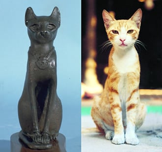 Hi there, ancestor! As my friends and I roam the streets of Cairo today, we follow your example. We, too, honor Bastet, the cat-headed goddess which the ancient Egyptians worshiped, not just as the protector of cats but also of children.