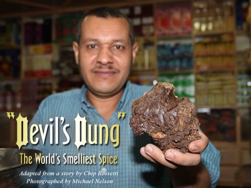 Devil's Dung: The World's Smelliest Spice