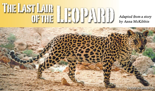 The Last Lair of the Leopard - Adapted from a story by Anna McKibbin
