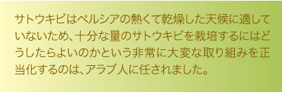 Saudi Aramco World どうか 砂糖を