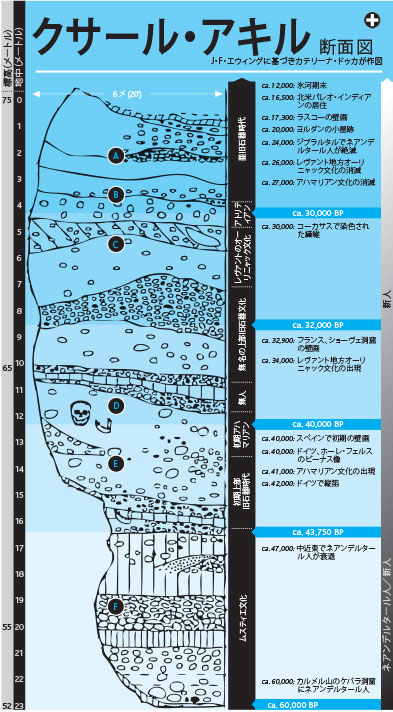 人類最古の美術 洞窟絵画