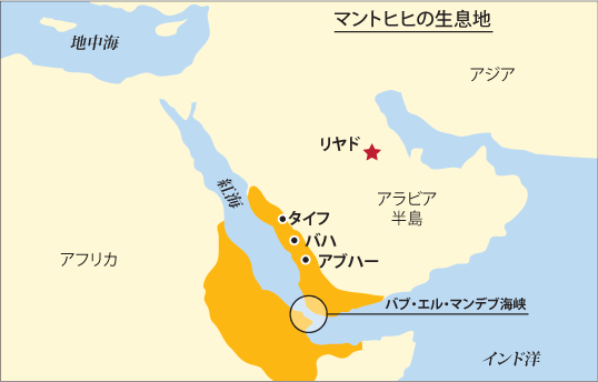 Saudi Aramco World 幸せもの