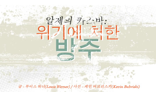 알제의 카스바: 위험에 처한 노아의 방주 - 글: 루이스 워너(Louis Werner), 사진: 케빈 버브리스키(Kevin Bubriski)