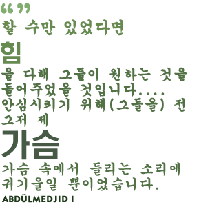 할 수만 있었다면 힘을 다해 그들이 원하는 것을 들어주었을 것이다... [그들의] 평안을 위해 내 가슴 속의 명령을 들을 수 밖에 없다. - Abdülmedjid 1세