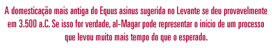O domesticação mais antiga sugerida do Equus asinus 
                no Levante foi provavelmente em 3500 a.C. Se for verdade, al-Magar pode representar o início de um processo de domesticação que levou muito mais tempo do que o esperado.