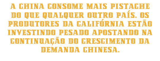 A China consome mais pistache do que qualquer outro país. Os produtores da Califórnia estão investindo pesado com a expectativa de continuação do crescimento da demanda chinesa.