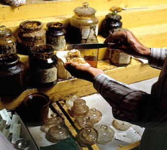 O processo simples de combinar medicamentos à base de plantas naturais continua praticamente o mesmo atualmente para este farmacêutico Unani.