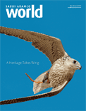 Click for the Table of Contents