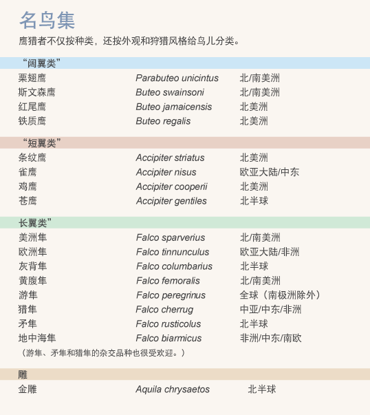 还有谁