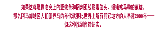 如果这尊雕像吻突上的竖线条和阴刻弧线形是辔头、 
                缰绳或马勒的痕迹，那么阿马加地区人们驯化马的历史就要比 
                世界上所有其它地方的人早近2000年——但这种推测尚待证实。   