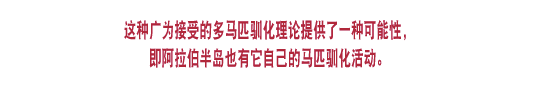 这种广为接受的多马匹驯化理论 
                提供了一种可能性，即阿拉伯半岛也有它自己的马匹驯化活动。 