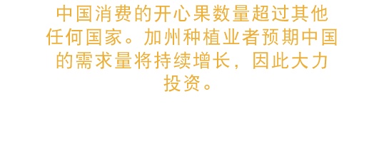 中国是最大的开心果消费国。 加利福尼亚州的种植者们大量投资于开心果种植，对中国开心果需求的不断增长抱有很大的期望。