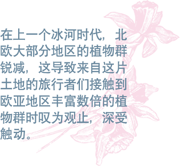 在上一个冰河时代，北欧大部分地区的植物群锐减，这导致来自这片土地的旅行者们接触到欧亚地区丰富数倍的植物群时叹为观止，深受触动。