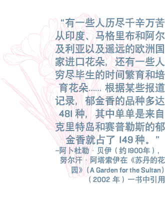 “有一些人历尽千辛万苦从印度、马格里布和阿尔及利亚以及遥远的欧洲国家进口花朵，还有一些人穷尽毕生的时间繁育和培育花朵…… 根据某些报道记录，郁金香的品种多达481种，其中单单是来自克里特岛和赛普勒斯的郁金香就占了149种。”——阿卜杜勒·贝伊(Abdülaziz Bey)（约 1900年），努尔汗·阿塔索伊(Nurhan Atasoy)在《苏丹的花园》(A Garden for the Sultan)（2002 年）一书中引用