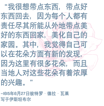 “我很想带点东西，带点好东西回去，因为每个人都有责任尽其所能从外地带点美好的东西回家，美化自己的家园。 其中，我觉得自己可以在花朵方面有新的发现，因为这里有很多花朵，而且当地人对这些花朵有着浓厚的兴趣。”——1615年6月27日彼特罗·德拉·瓦莱(Valle in Istanbul)写于伊斯坦布尔