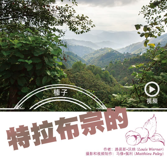 特拉布宗的榛子 // 作者:路易斯·沃纳,摄影和视频制作:马修·佩利